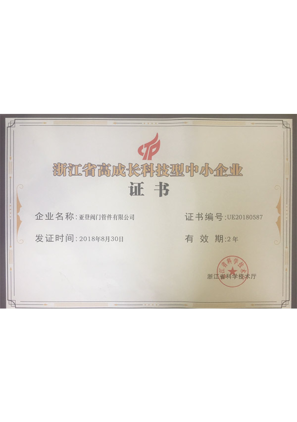 浙江省高成長科技型中小企業